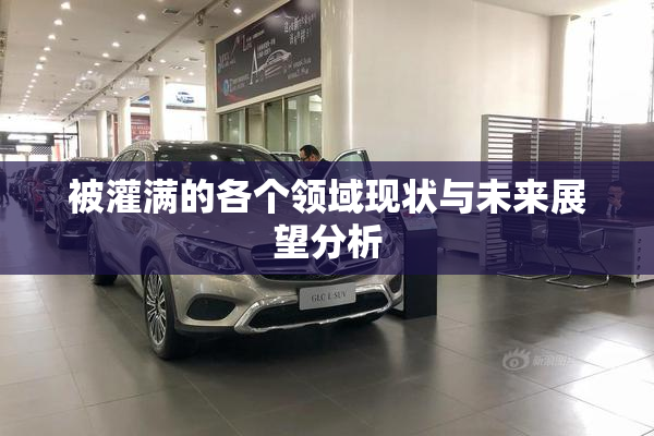 被灌满的各个领域现状与未来展望分析