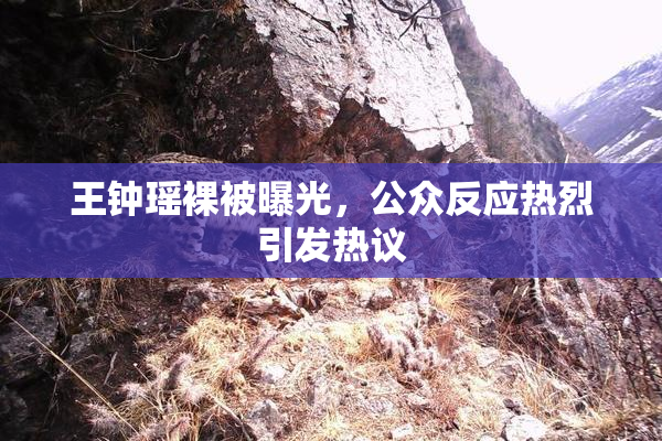 王钟瑶裸被曝光，公众反应热烈引发热议