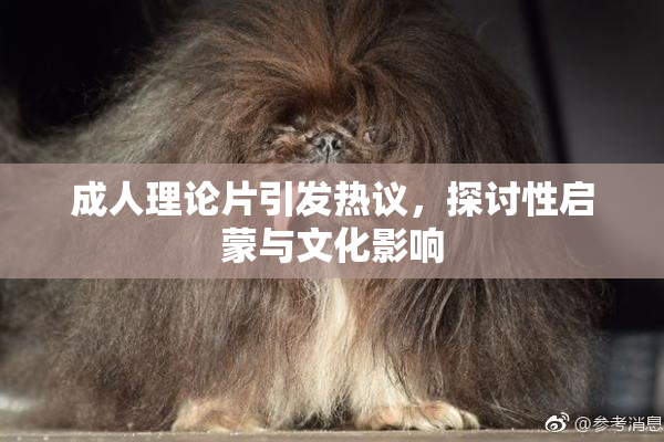 成人理论片引发热议，探讨性启蒙与文化影响