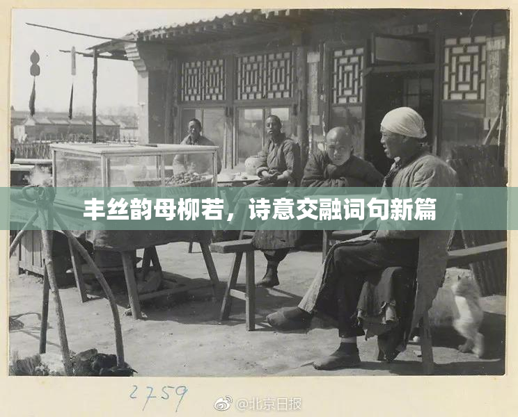 丰丝韵母柳若，诗意交融词句新篇