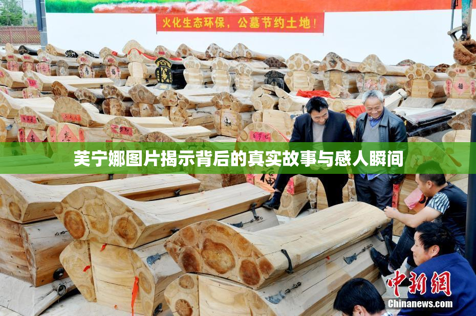 芙宁娜图片揭示背后的真实故事与感人瞬间