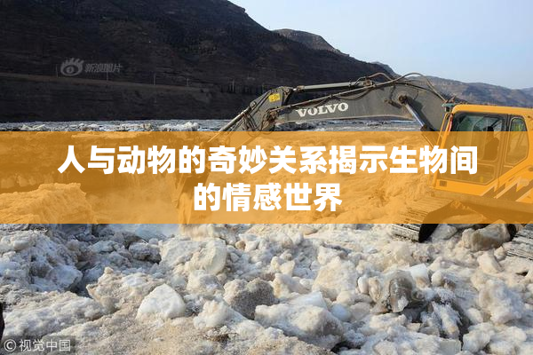 人与动物的奇妙关系揭示生物间的情感世界