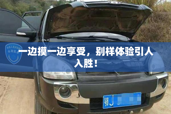 一边摸一边享受，别样体验引人入胜！