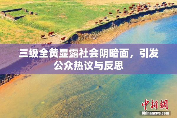 三级全黄显露社会阴暗面，引发公众热议与反思