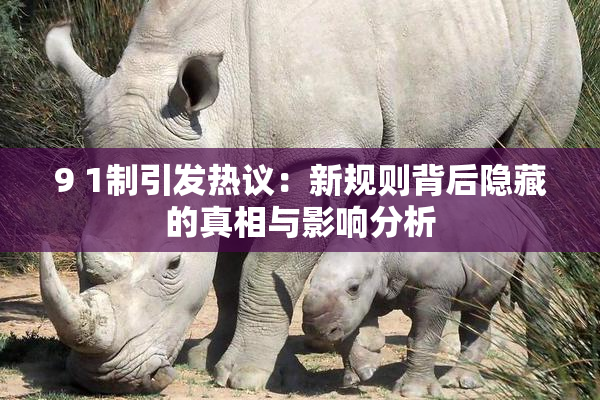 9 1制引发热议：新规则背后隐藏的真相与影响分析