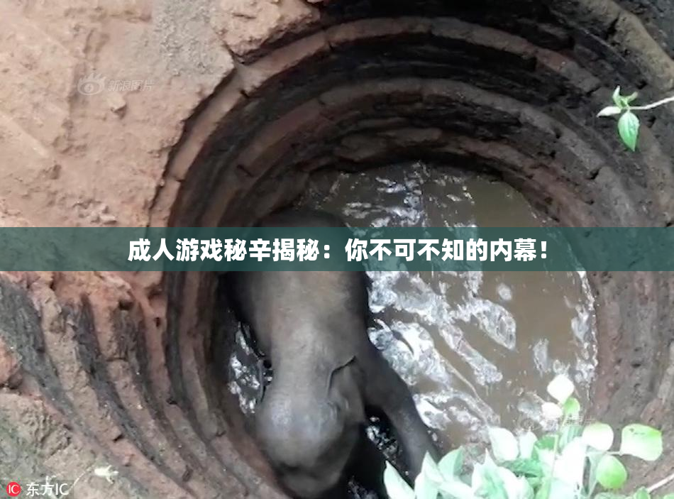 成人游戏秘辛揭秘：你不可不知的内幕！