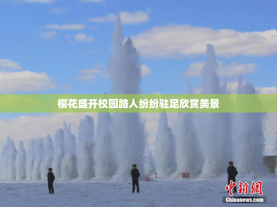 樱花盛开校园路人纷纷驻足欣赏美景