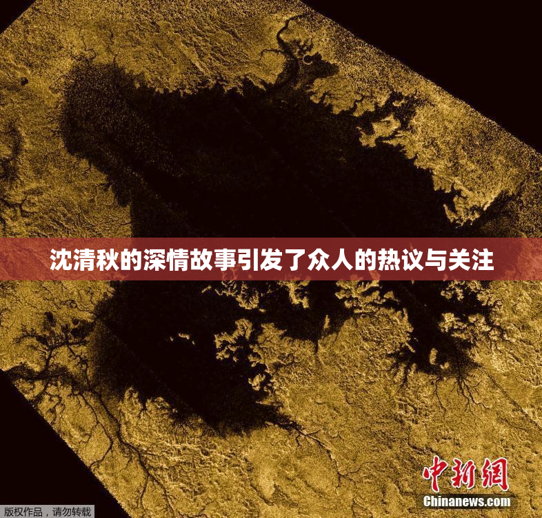 沈清秋的深情故事引发了众人的热议与关注