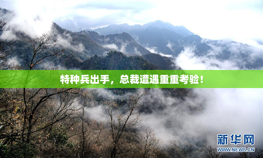 特种兵出手，总裁遭遇重重考验！