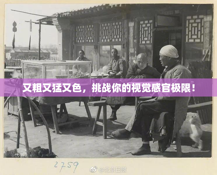 又粗又猛又色，挑战你的视觉感官极限！