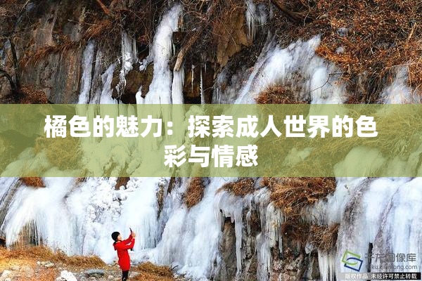 橘色的魅力：探索成人世界的色彩与情感