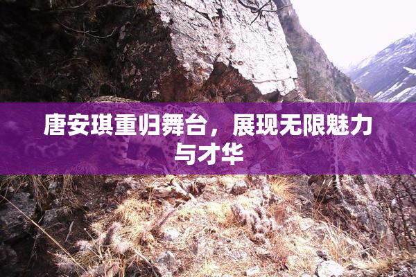 唐安琪重归舞台，展现无限魅力与才华