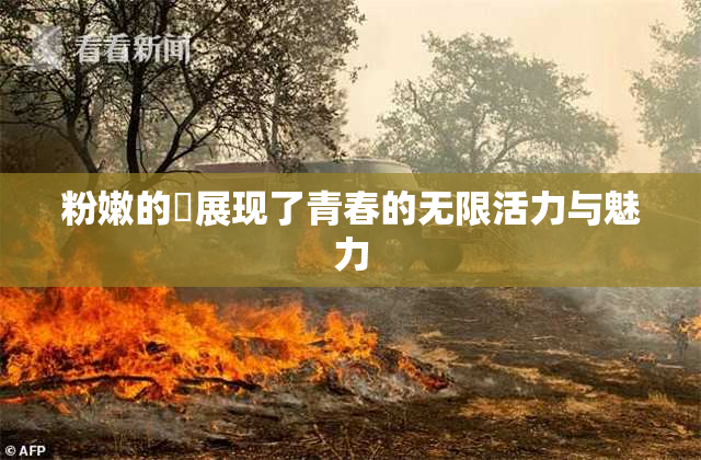 粉嫩的泬展现了青春的无限活力与魅力