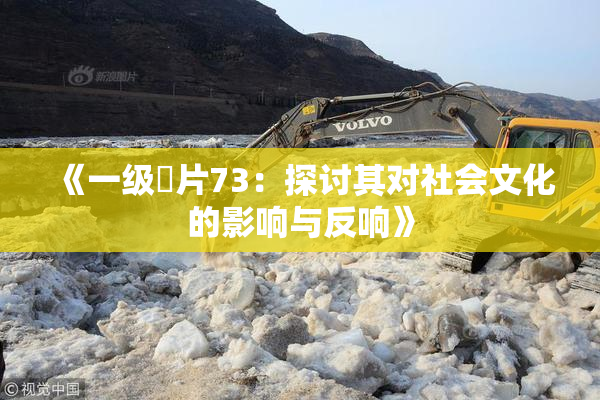 《一级婬片73：探讨其对社会文化的影响与反响》