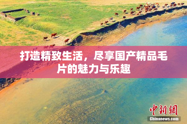 打造精致生活，尽享国产精品毛片的魅力与乐趣