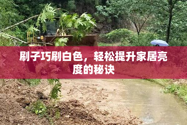 刷子巧刷白色，轻松提升家居亮度的秘诀