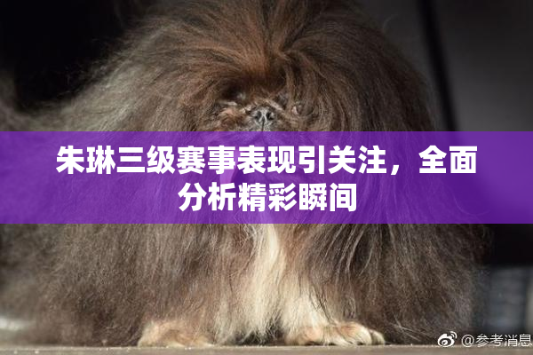 朱琳三级赛事表现引关注，全面分析精彩瞬间