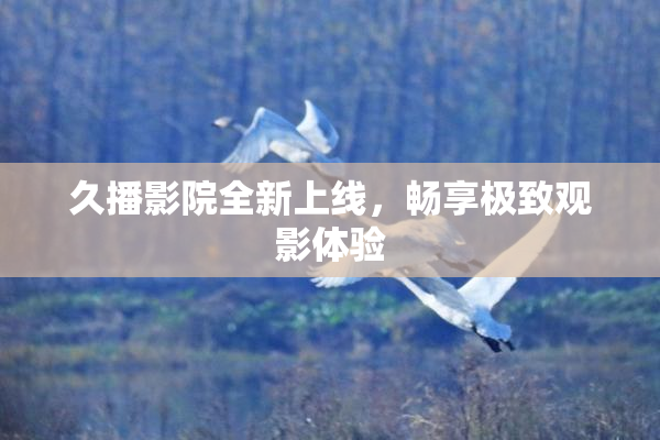 久播影院全新上线，畅享极致观影体验
