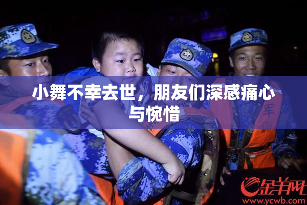 小舞不幸去世，朋友们深感痛心与惋惜