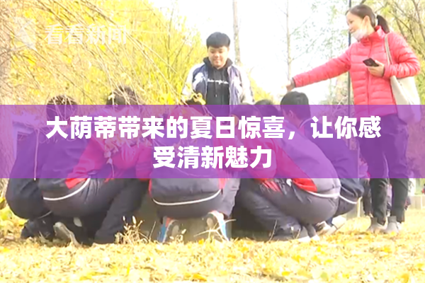大荫蒂带来的夏日惊喜，让你感受清新魅力