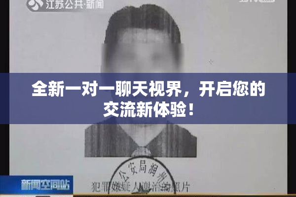 全新一对一聊天视界，开启您的交流新体验！