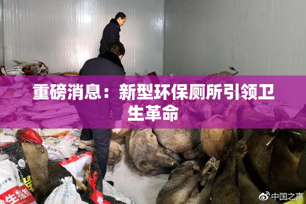 重磅消息：新型环保厕所引领卫生革命