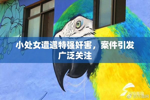 小处女遭遇特强奸害，案件引发广泛关注