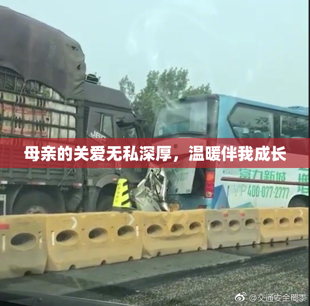 母亲的关爱无私深厚，温暖伴我成长