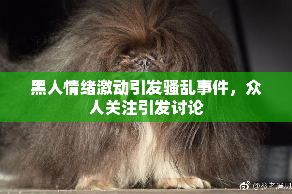 黑人情绪激动引发骚乱事件，众人关注引发讨论