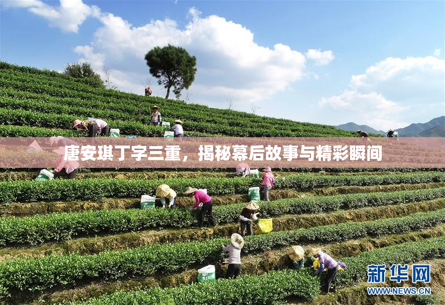唐安琪丁字三重，揭秘幕后故事与精彩瞬间