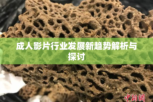 成人影片行业发展新趋势解析与探讨