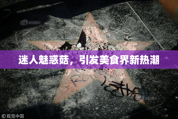 迷人魅惑菇，引发美食界新热潮