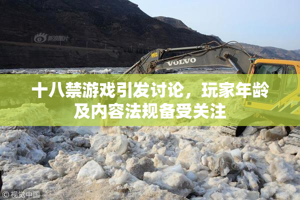 十八禁游戏引发讨论，玩家年龄及内容法规备受关注