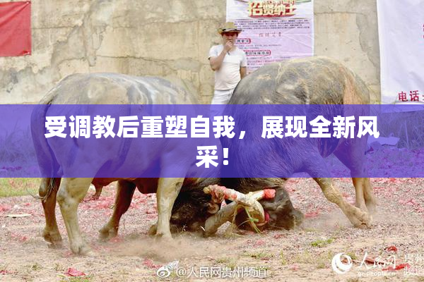 受调教后重塑自我，展现全新风采！
