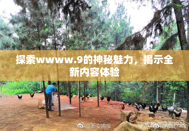 探索wwww.9的神秘魅力，揭示全新内容体验