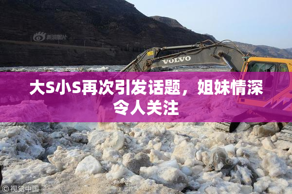 大S小S再次引发话题，姐妹情深令人关注