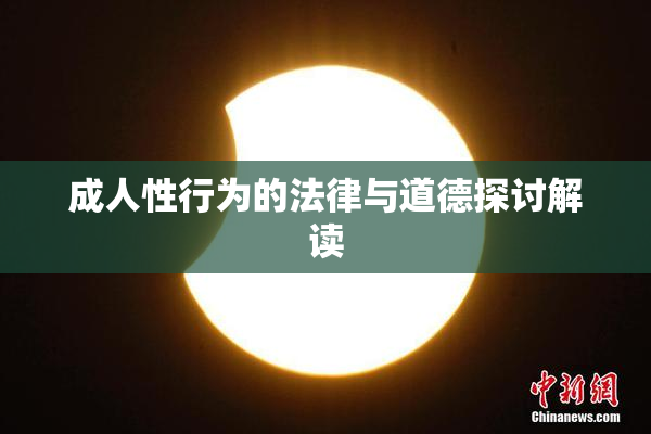 成人性行为的法律与道德探讨解读