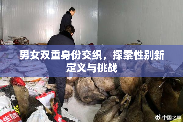 男女双重身份交织，探索性别新定义与挑战