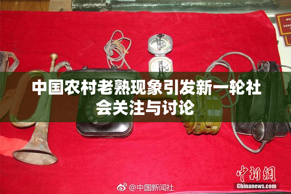 中国农村老熟现象引发新一轮社会关注与讨论
