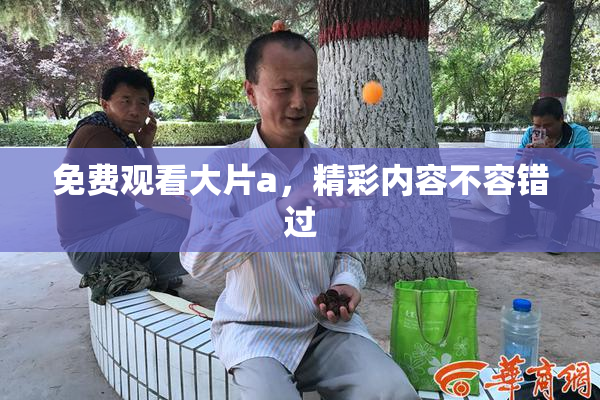 免费观看大片a，精彩内容不容错过