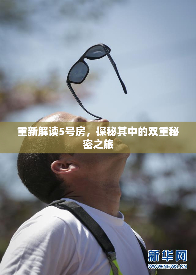 重新解读5号房，探秘其中的双重秘密之旅