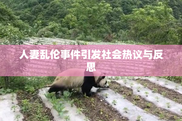 人妻乱伦事件引发社会热议与反思