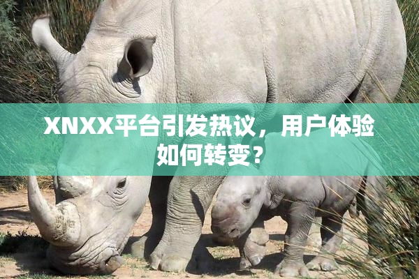 XNXX平台引发热议，用户体验如何转变？