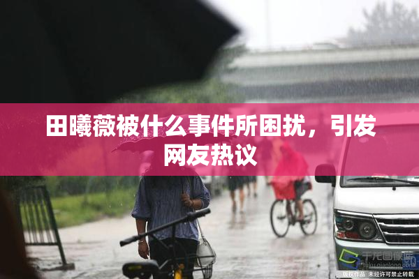 田曦薇被什么事件所困扰，引发网友热议