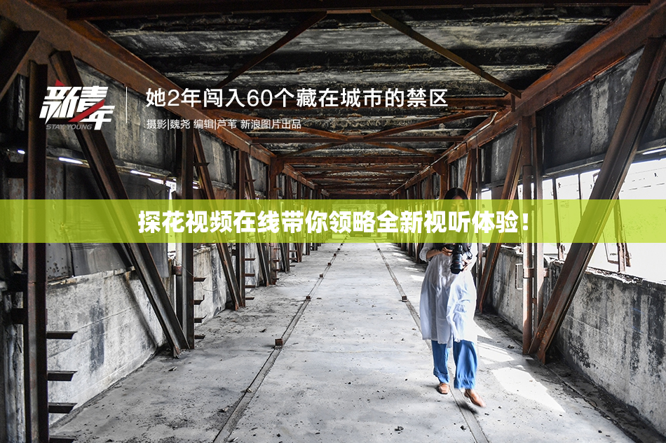 探花视频在线带你领略全新视听体验！