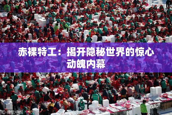 赤裸特工：揭开隐秘世界的惊心动魄内幕