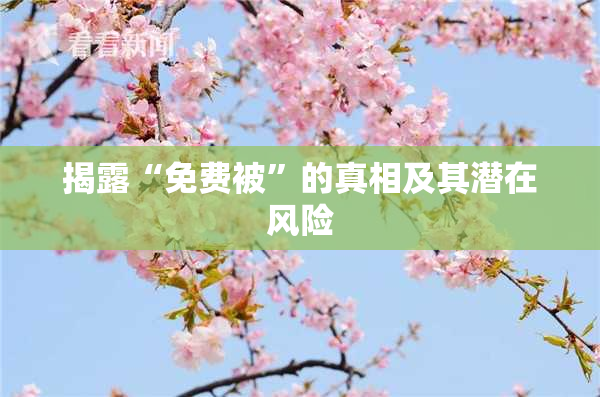 揭露“免费被”的真相及其潜在风险