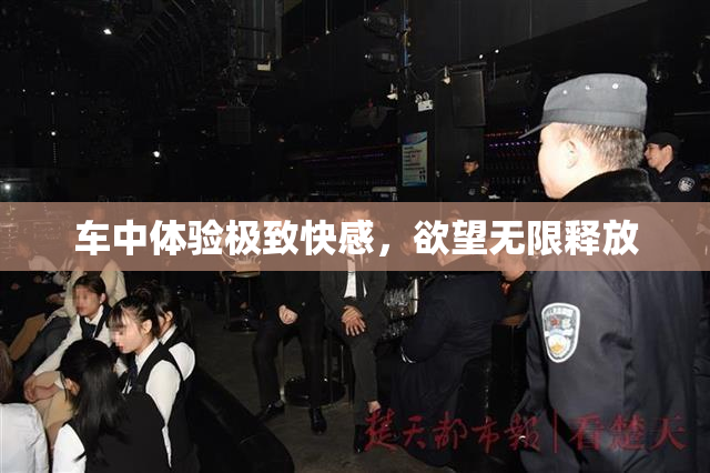 车中体验极致快感，欲望无限释放