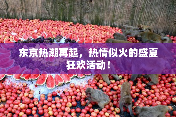 东京热潮再起，热情似火的盛夏狂欢活动！