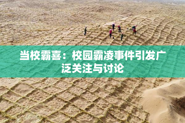 当校霸喜：校园霸凌事件引发广泛关注与讨论
